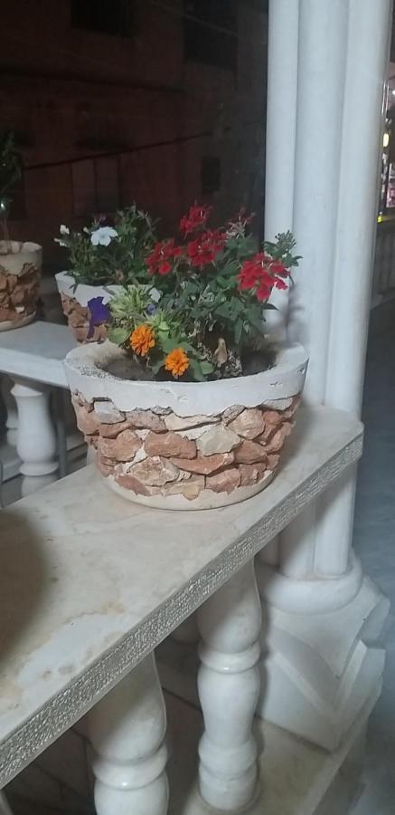 Vila Zohara Nahf Exteriér fotografie